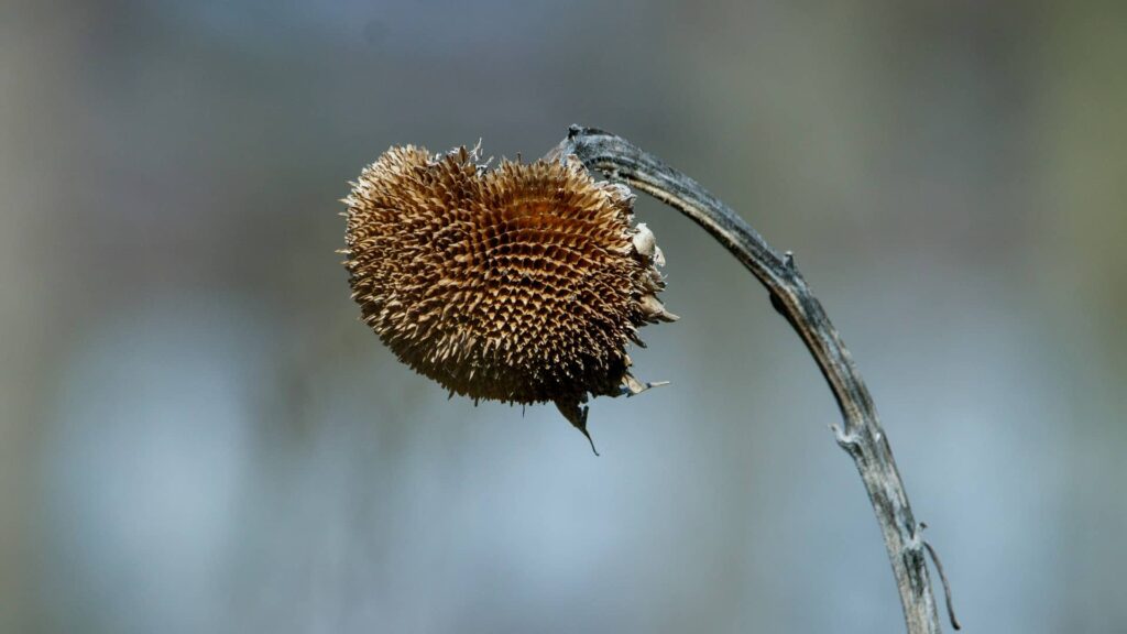 Bild: Waldemar Zielinski